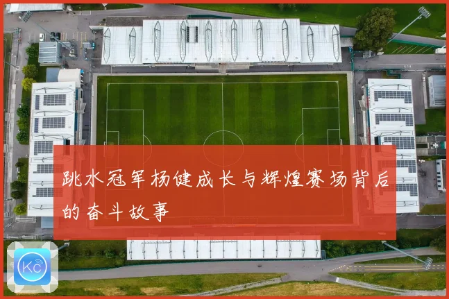 跳水冠军杨健成长与辉煌赛场背后的奋斗故事