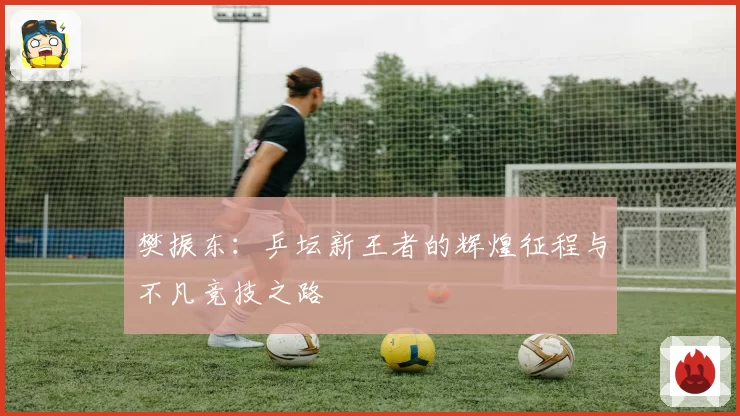 樊振东：乒坛新王者的辉煌征程与不凡竞技之路
